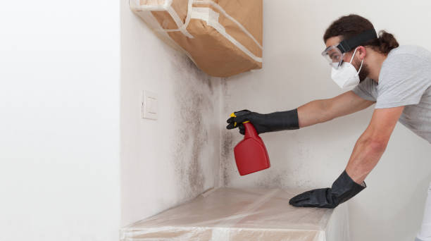 Professional Basement Mold Remediation technician working in Aldie, VA