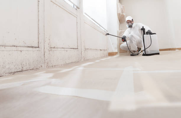 24/7 Emergency Basement Mold Remediation experts in Aldie, VA
